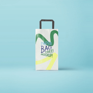 Paper Bag mock - up